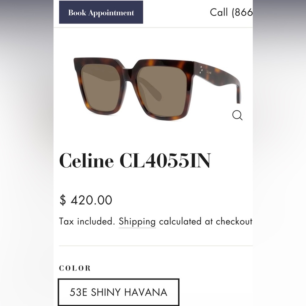CELINE Acetate Sunglasses CL4055IN